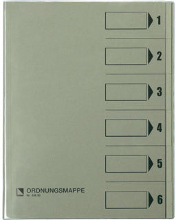 BENE Ordnungsmappe 83600 A4 6-teilig 1-6 Recyclingkarton 250 g/m² mit Schutzumschlag grau