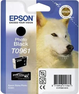 EPSON Ink photo black T0961