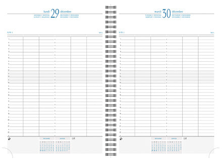 QUO VADIS Kalender Time 29 A4 1 Tag pro Seite 2026 blau