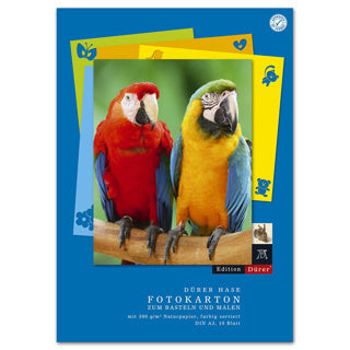 EDITION DÜRER Fotokarton A3 10 Blatt mehrere Farben