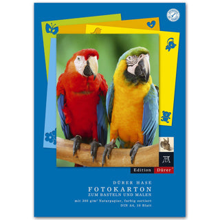 EDITION DÜRER Fotokarton A4 10 Blatt mehrere Farben
