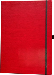 LEYKAM Notizbuch Denkzettel Classic DIN A4 192 Blatt kariert rot