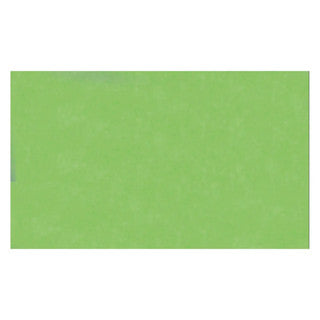 FOLIA Transparentpapier 82551 25 Bögen 70 x 100 cm hellgrün