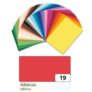 FOLIA Tonzeichenpapier 6719 10 Bögen 130 g/m² 50 x 70 cm hibiskus