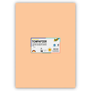 FOLIA Tonzeichenpapier 6310 DIN A3 50 Bögen 130 g/m² chamois