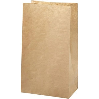 CREATIV COMPANY Papiertüte 100 Stück 50 g 15 x 27 x 9 cm braun