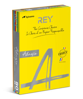 REY Kopierpapier Adagio 5x 40 Blatt A4 80 g/m² Intensivfarben sortiert