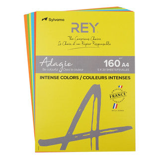 REY Kopierpapier Adagio 5x 20 Blatt A4 160 g/m² Intensivfarben sortiert