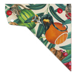 ARISTO GEO Cover tropic life