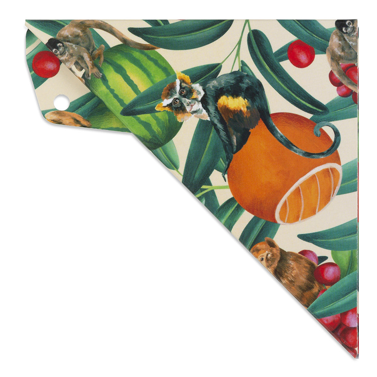 ARISTO GEO Cover tropic life