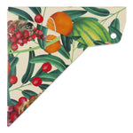 ARISTO GEO Cover tropic life