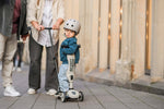 Scoot and Ride Highwaykick 1 ash push und go