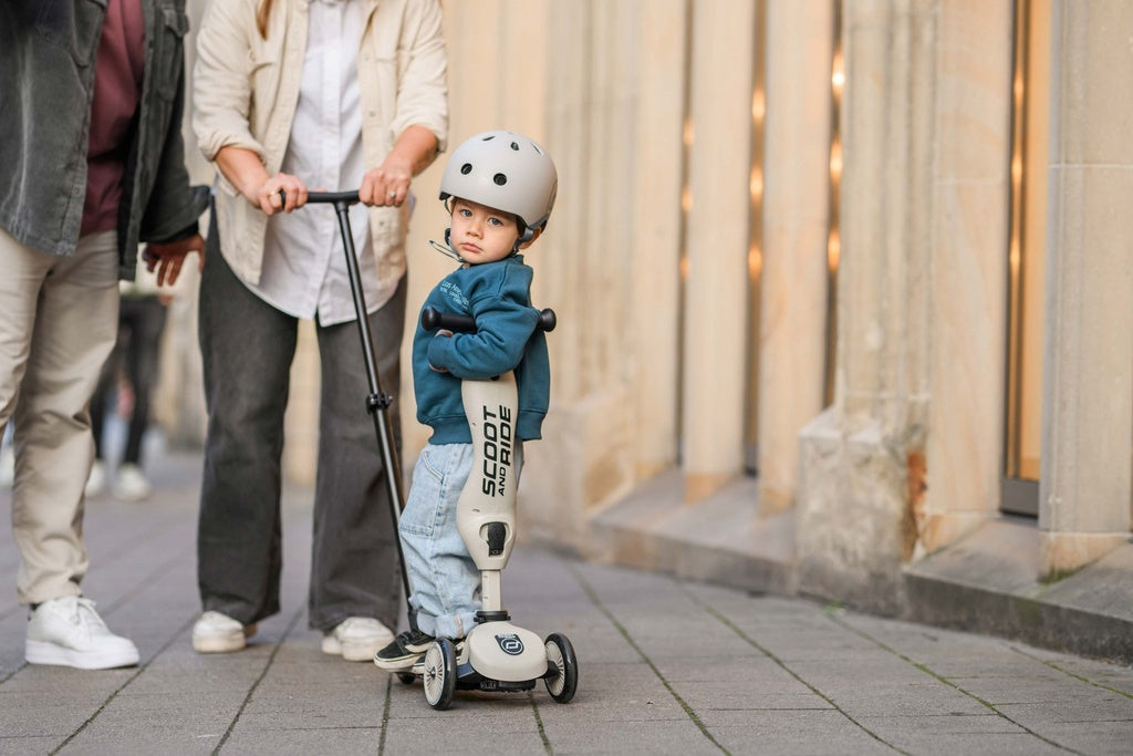Scoot and Ride Highwaykick 1 ash push und go