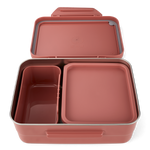 satch Nordic Coral Brotdose