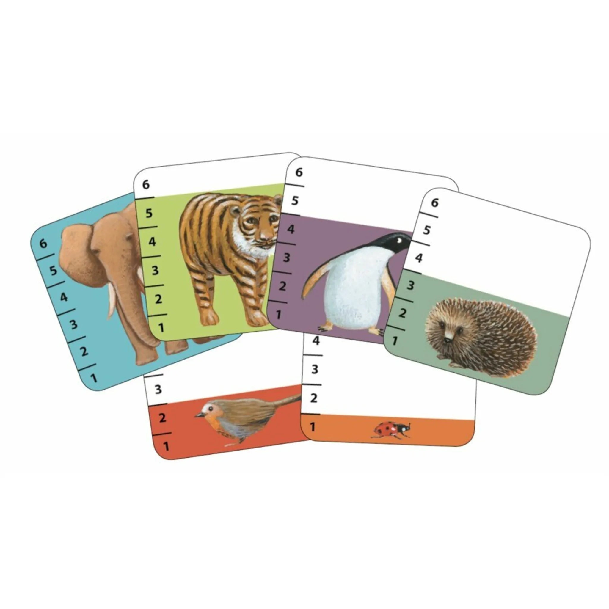 Bild-Alt-Text