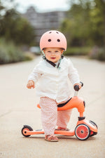 Scoot and Ride Highwaykick 1 rose